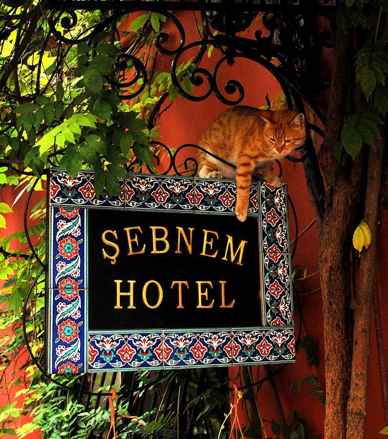 Sebnem Hotel Isztambul Kültér fotó